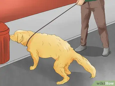 Image titled Teach Your Dog to Walk on a Leash Step 9