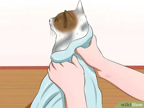 Image titled Bathe Your Cat With a Damp Towel Step 14