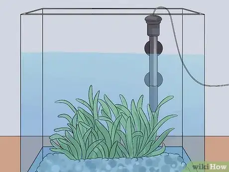 Image titled Help a Betta Fish Live Longer Step 10