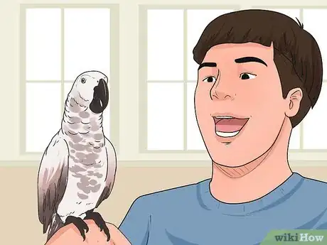 Image titled Teach Your Bird to Talk Step 6