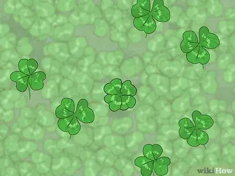 Image titled Find a Four Leaf Clover Step 9