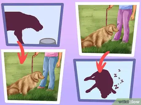 Image titled Be a Responsible Dog Owner Step 10