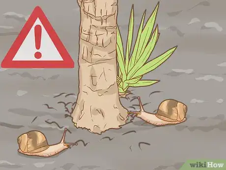 Image titled Grow Yucca Step 31