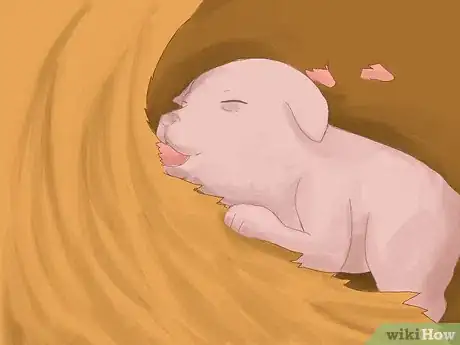 Image titled Care for Newborn Puppies Step 24