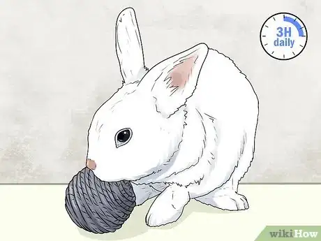 Image titled Keep a Rabbit in an Apartment Step 16