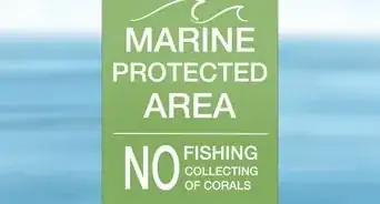 Protect Coral Reefs