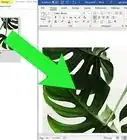 Add an Image in Word