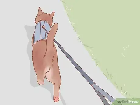 Image titled Stop Your Cat from Begging Step 10