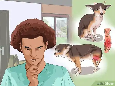 Image titled Get Your Two Dogs to Stop Fighting Step 11