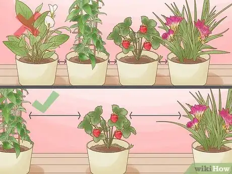 Image titled Why Does Your Plant Have White Spots Step 3