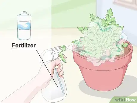 Image titled Keep Your Plants from Dying Step 8