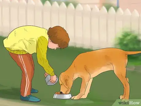 Image titled Be a Good Pet Owner (for Kids) Step 1