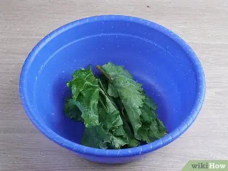 Image titled Eat Swiss Chard Step 2