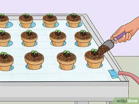 Image titled Build a Hydroponic Garden Step 15