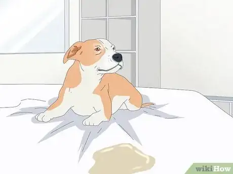 Image titled Stop My Dog from Peeing on My Bed Step 4