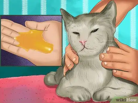 Image titled Remove Paint from a Cat's Fur Step 10