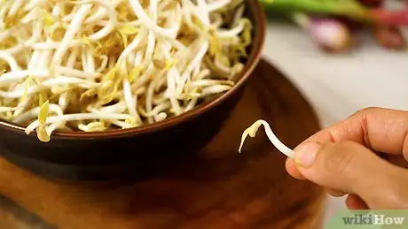 Image titled Cook Bean Sprouts Step 2