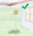 Build a Birdhouse