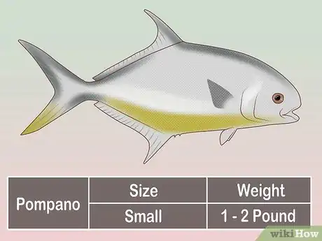 Image titled Create a Setup for Inshore Fishing Step 41