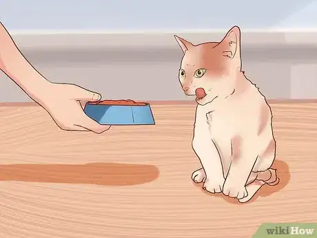 Image titled Make Raw Cat Food Step 10