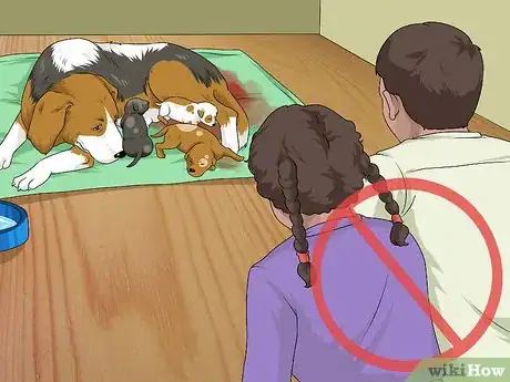 Image titled Take a Mother Dog to a Postnatal Veterinary Exam Step 10