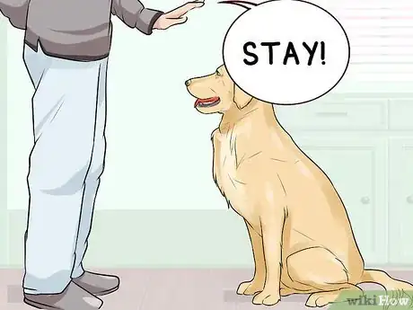 Image titled Get a Dog to Behave in Restaurants Step 9
