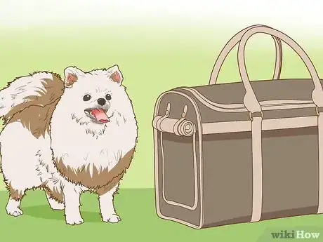 Image titled Get Your Dog to Ride in a Carrier Step 2