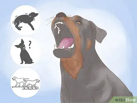 Image titled Socialize an Aggressive Dog Step 1