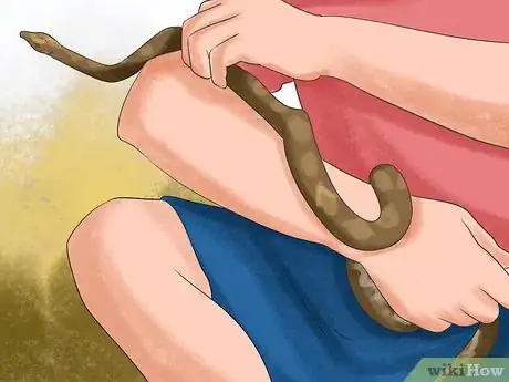 Image titled Look After a Reticulated Python Step 11