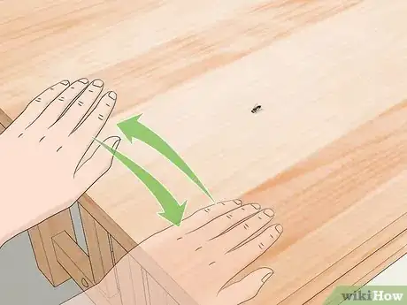 Image titled Catch a Fly With Your Hands Step 10