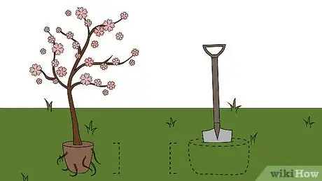 Image titled Grow Crabapple Trees Step 12