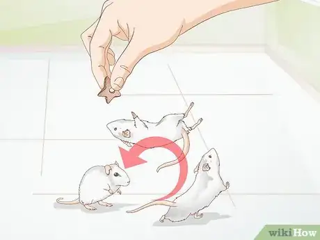 Image titled Play With Gerbils Step 14