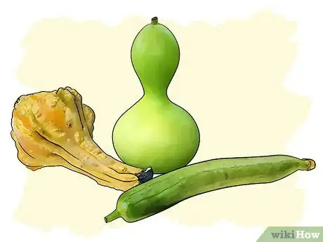 Image titled Grow Gourds Step 1