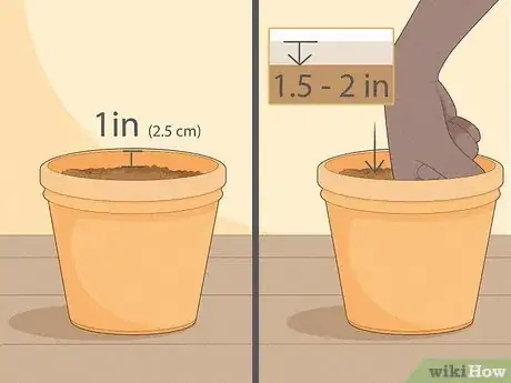 Image titled Clone Cannabis Step 10