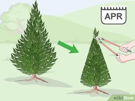 Image titled Prune a Leyland Cypress Step 10