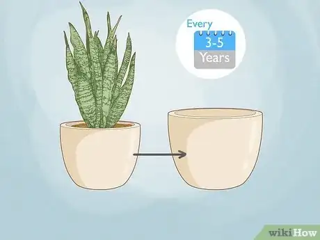 Image titled When to Repot Snake Plant Step 1