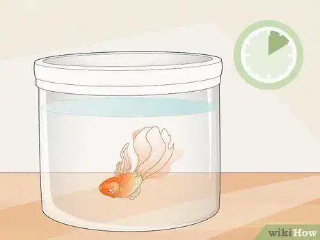 Image titled Dispose of Aquarium Fish Step 9