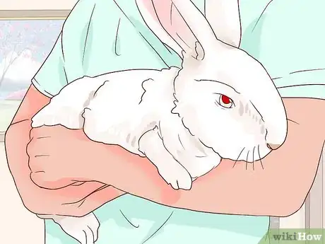 Image titled Deal with a Sick Rabbit Step 7