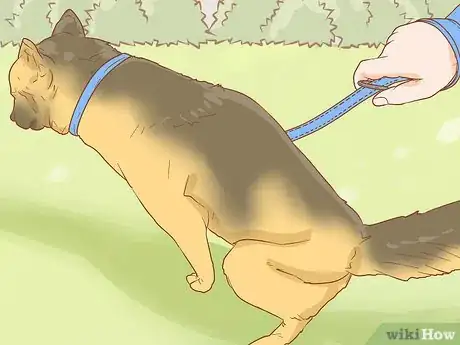 Image titled Stop Your Dog from Waking You Up at Night Step 3