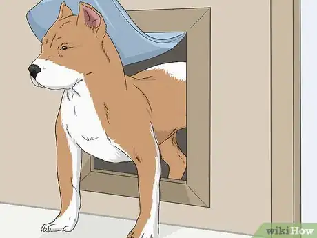 Image titled Keep Other Animals from Using a Pet Door Step 1