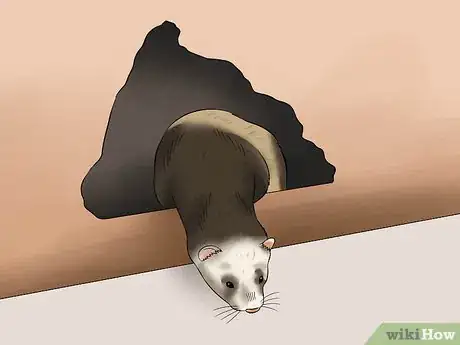 Image titled Ferret Proof a House Step 13