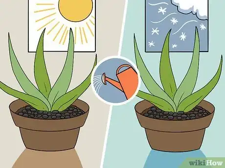 Image titled Revive a Dying Aloe Vera Plant Step 8