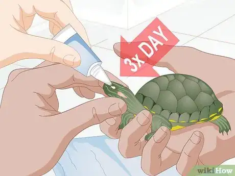 Image titled Apply Medication to a Turtle's Eyes Step 6