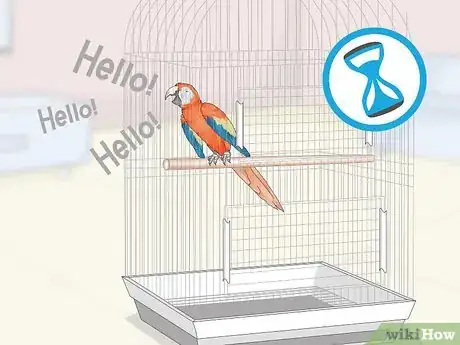 Image titled Teach Parrots to Talk Step 7