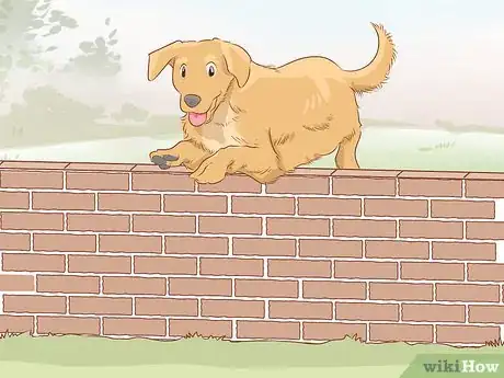 Image titled Teach Your Dog to Jump Step 11