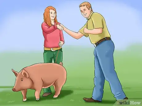 Image titled Show Your Pigs Step 11