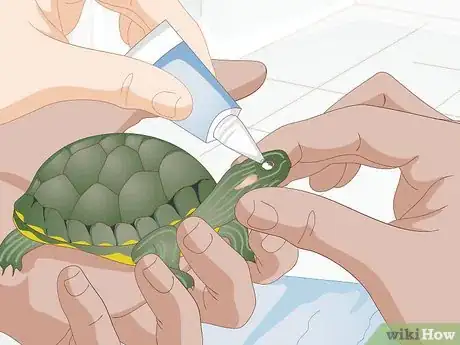 Image titled Apply Medication to a Turtle's Eyes Step 5