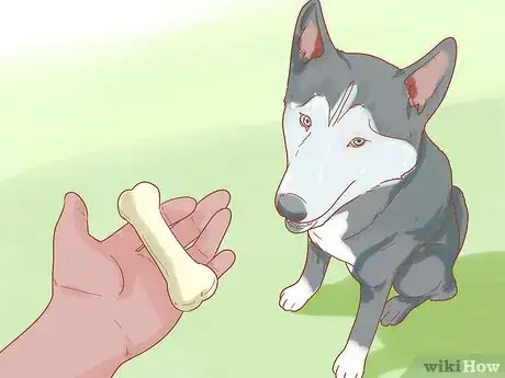 Image titled Take Care of Your Dog's Basic Needs Step 28