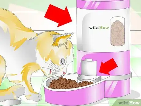 Image titled Slow Down a Cat Who Eats Too Fast Step 5