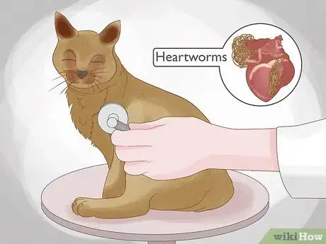 Image titled Identify Worms in a Cat Step 13